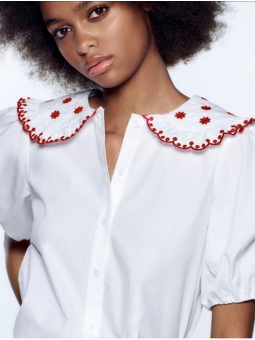 NWT ZARA  EMBROIDERED POPLIN SHIRT